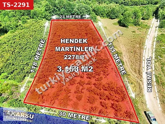TAPUHANE'DEN 3.168M2 AKARSUYA VE YOLA CEPHE FINDIK BAHÇESİ