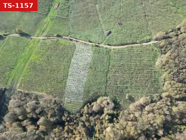 Satılık Arsa - Lütfiyeköşk Mahallesi, 2700 m²