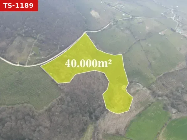 Satılık Tarla - Yeşilvadi Mahallesi, 40222 m²