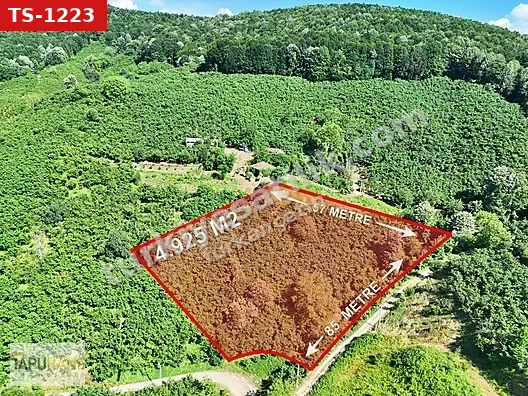 TAPUHANEDEN HARMANTEPE KÖYÜNDE 4.925M2 İMARLI ARSA