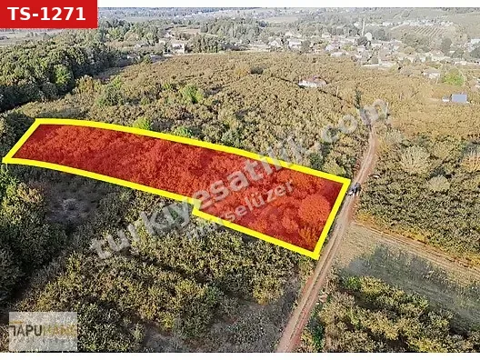 TAPUHANEDEN Y. ÇALICA KÖYÜNDE 3 DÖNÜM SATILIK FINDIKLIK