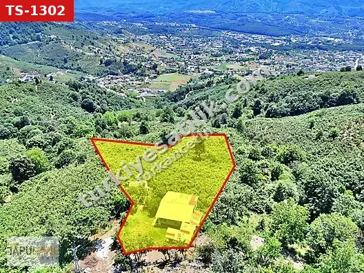 TAPUHANEDEN AKYAZI'DA 8.122M2 ARSA İÇİNDE MÜSTAKİL EV