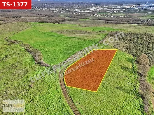TAPUHANE'DEN SATILIK 682 M2 BUNGALOV ARSASI