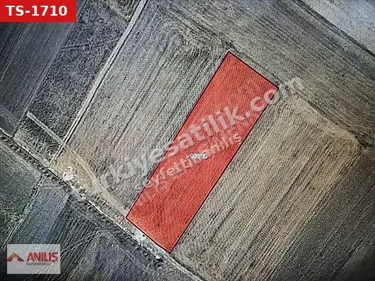 Kütahya Altıntaş'ta Yatırımlık Resmi Yollu Tarla