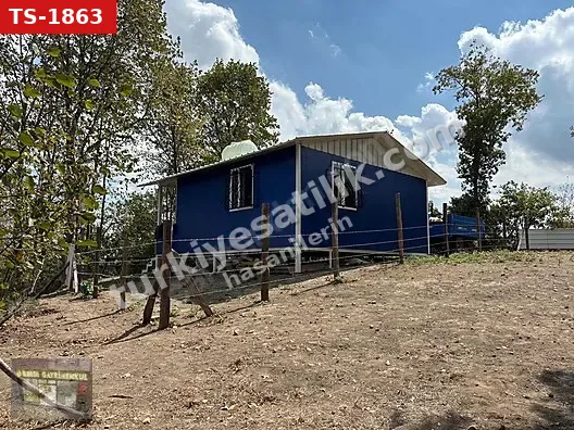 İLERİN GAYRİMENKUL'den 15.000 m² SATILIK VERİMLİ FINDIK BAHÇESİ
