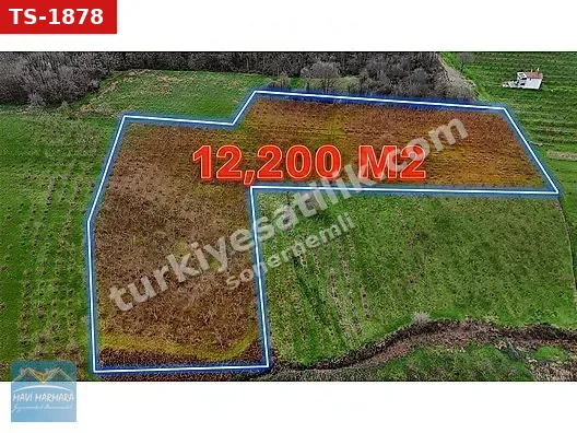 LÜTFİYE KÖŞK MAHALLESİ 12.200 M2 FINDIK BAHÇESİ