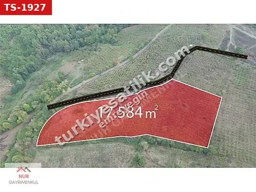 NUR GAYRİMENKUL'DEN BALIKLI İHSANİYE MAH 17.584m2 FINDIKLIK